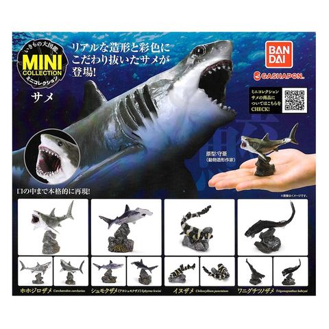 全套4款【日本正版】生物大圖鑑 鯊魚篇 扭蛋 轉蛋 深海鯊魚 獵捕者 動物模型 BANDAI 萬代 - 939092