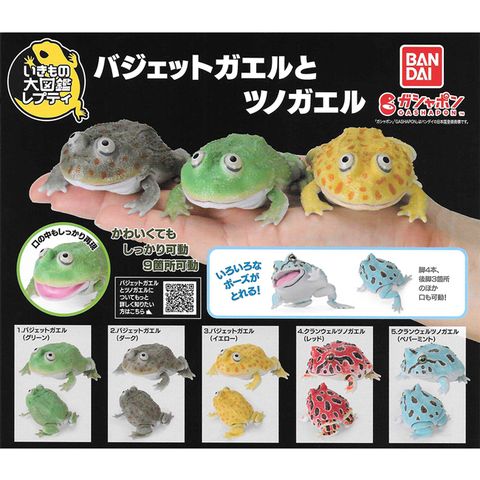 全套5款【日本正版】生物大圖鑑 圓眼珍珠蛙與角蛙 扭蛋 轉蛋 圓眼珍珠蛙 小丑蛙 角蛙 萬代 739217