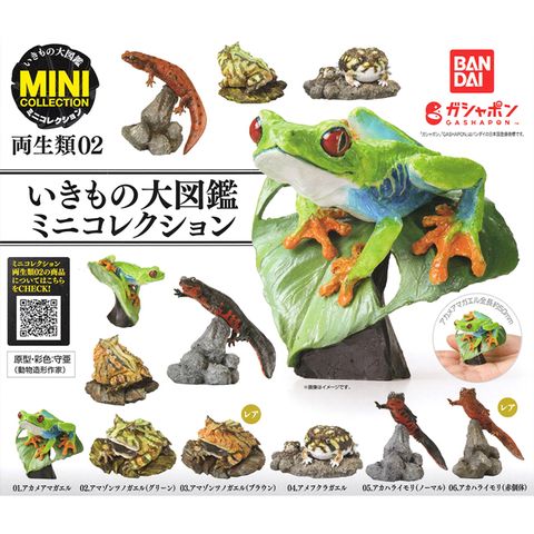 小全套4款【日本正版】生物大圖鑑迷你集合 兩棲類 P2 扭蛋 轉蛋 紅眼樹蛙 蘇利南角蛙 動物模型 847707