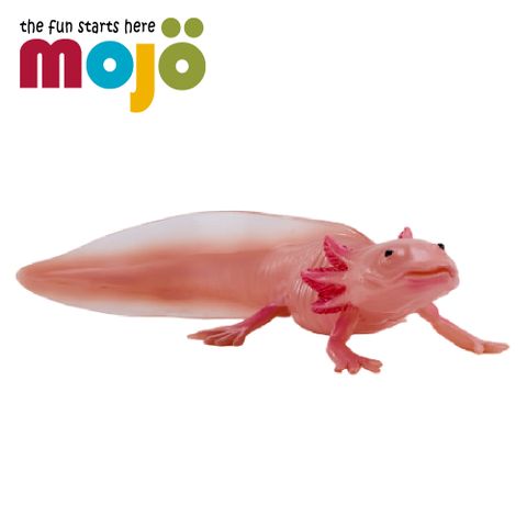 MOJO FUN 動物模型-墨西哥鈍口螈