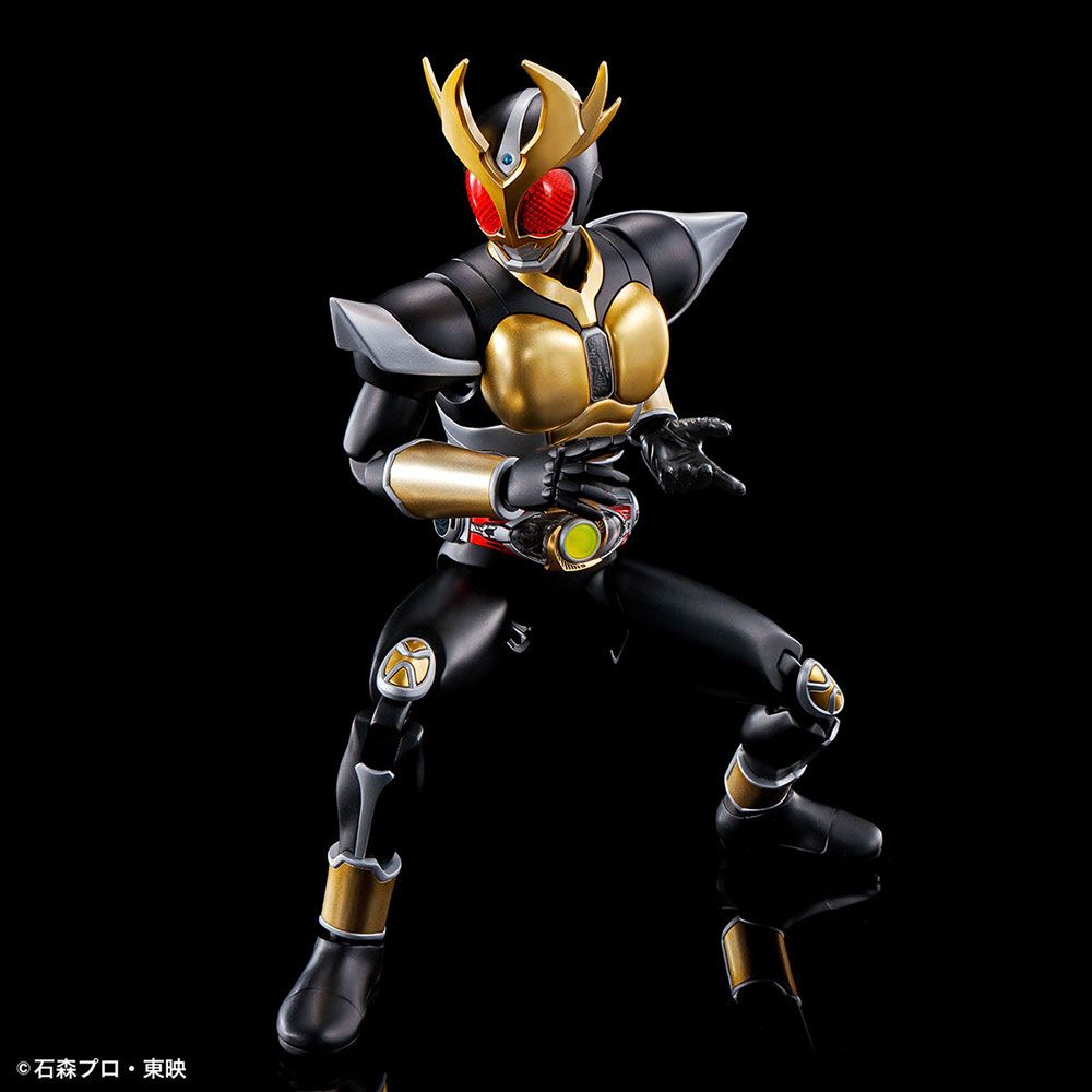 BANDAI 萬代   組裝模型 Figure-rise Standard 假面騎士顎門 大地形態