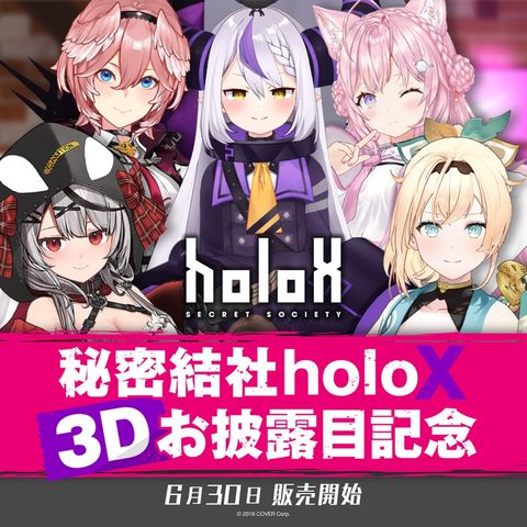Hololive 秘密結社holoX 3Dお披露目記念 摺疊收納箱