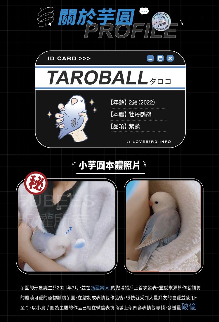 關於芋圓PROFILEID CARD TAROBALL【年齡】2歲(2022)【本體】牡丹鸚鵡【品項】紫薰秘// LOVEBIRD INFO‘小芋圓本體照片芋圓的形象誕生於2021年7月,並在猛禽bot的微博帳戶上首次發表。靈感來源於作者飼養的賤萌可愛的寵物鸚鵡芋圓,在繪制成表情包作品後,很快就受到大量網友的喜愛並使用。至今,以小鳥芋圓為主題的作品已經在微信表情商城上架四套表情包專輯,發送量破億