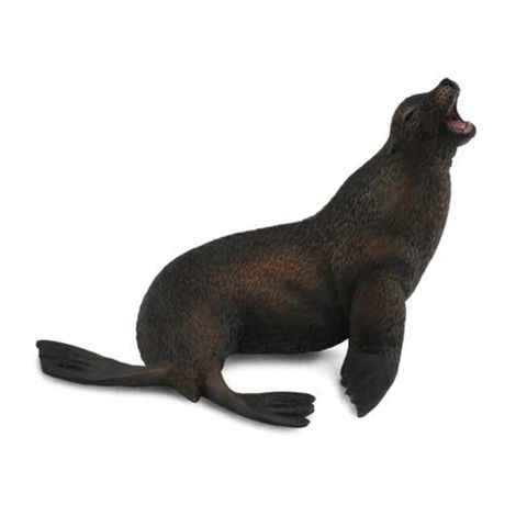 【永曄】collectA 柯雷塔A-英國高擬真動物模型-海洋生物-海獅