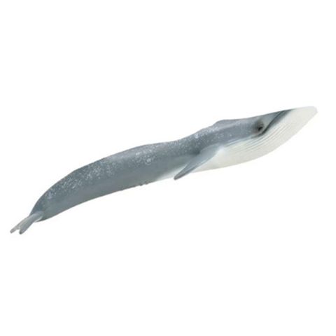 【永曄】collectA 柯雷塔A-英國高擬真動物模型-海洋生物-藍鯨