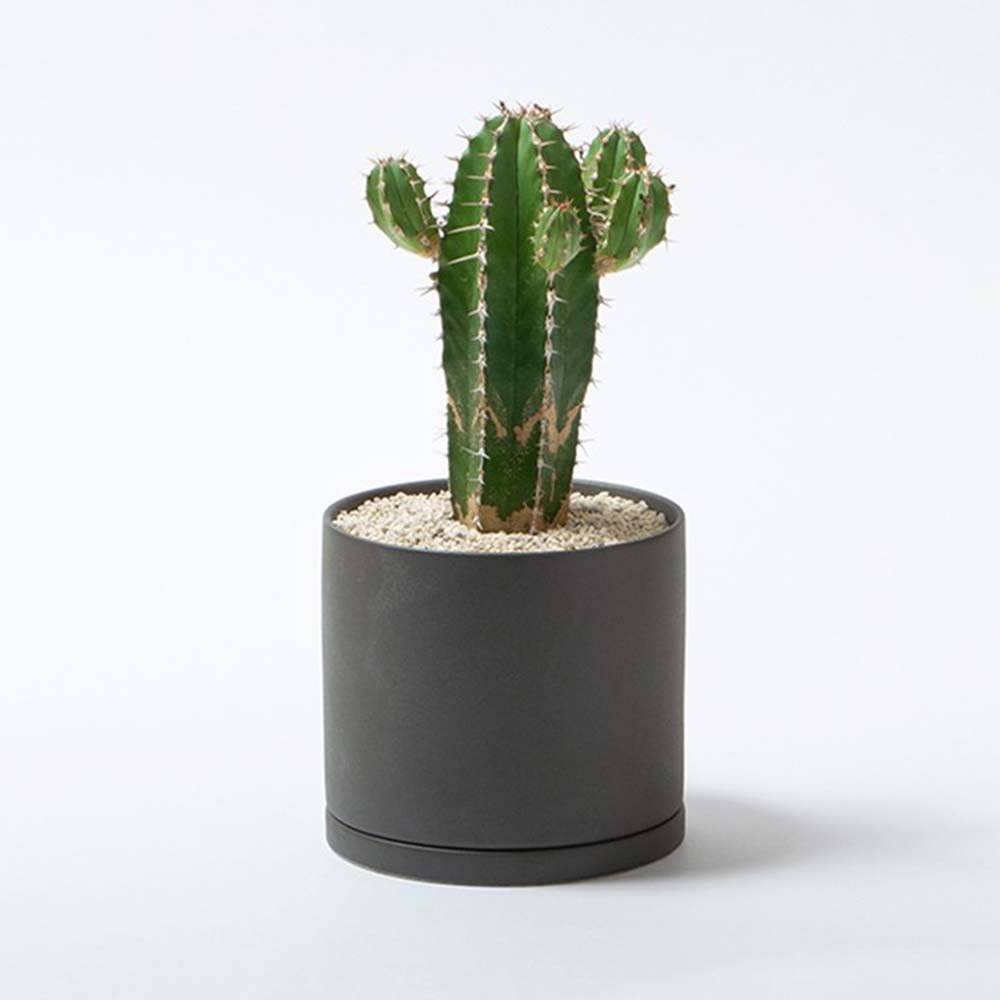 KINTO 【WUZ屋子】日本 PLANT POT 191陶瓷花盆13.5cm-共2色