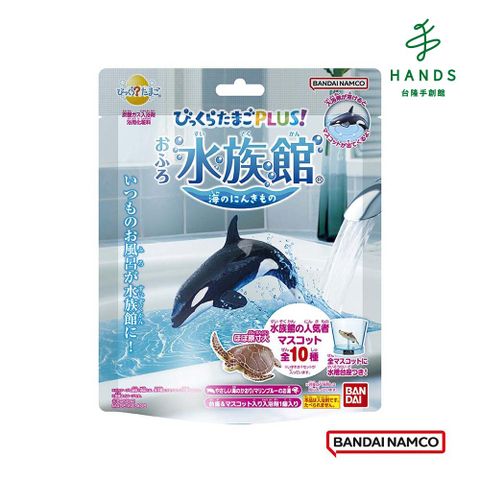 BANDAI 萬代 台隆手創館 水族館海洋生物篇入浴球/泡澡球(單入款式隨機)