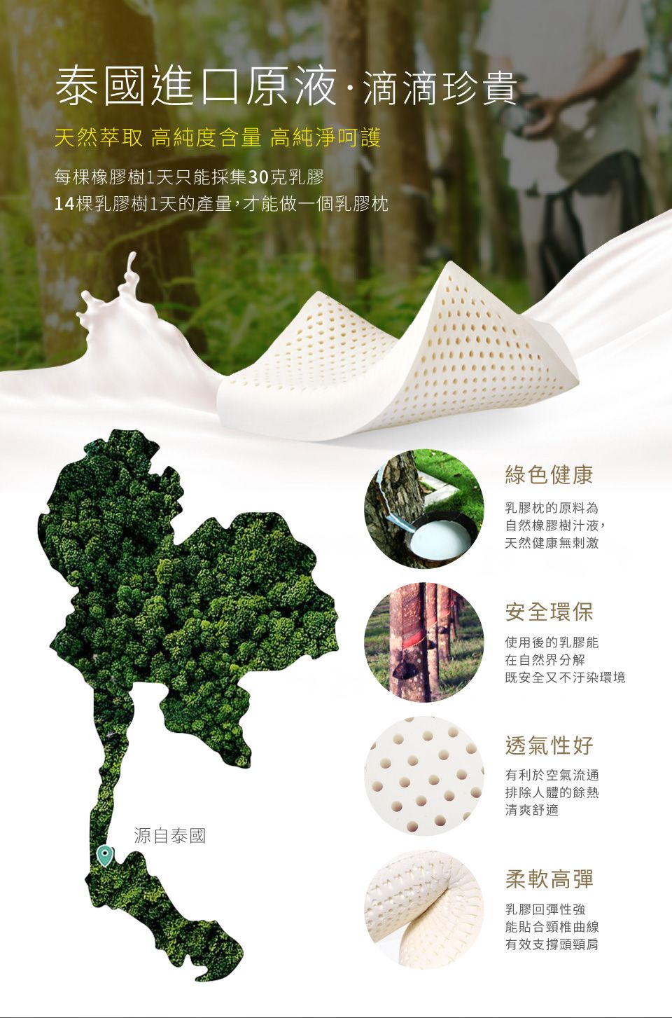泰國進口原液·滴滴珍貴天然萃取 高純度含量 高純淨呵護每橡膠樹1天只能採集30克乳膠14棵乳膠樹1天的產量,才能做一個乳膠枕綠色健康乳膠枕的原料為自然橡膠樹汁液,天然健康無刺激安全環保使用後的乳膠能在自然界分解既安全又不汙染環境源自泰國透氣性好有利於空氣流通排除人體的餘熱清爽舒適柔軟高彈乳膠回彈性強能貼合頸椎曲線有效支撐頭頸肩