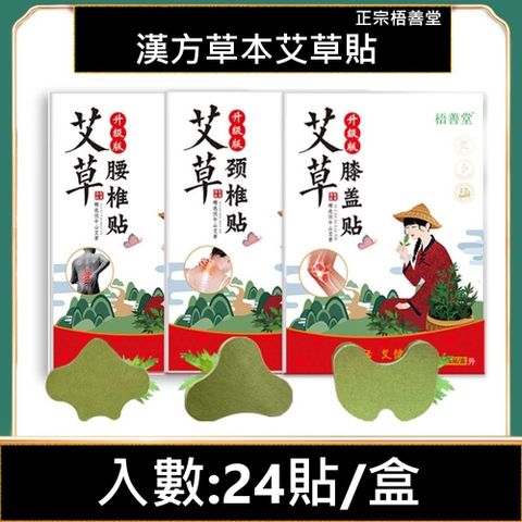 	養身 24入 正宗梧善堂艾草養身貼 頸椎 腰椎 膝蓋
