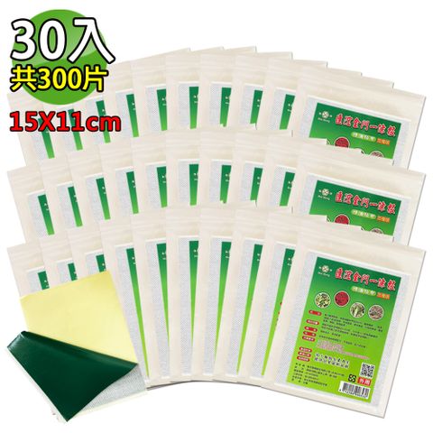 【匯浤】金門一條根超大精油貼布(黑青款)-涼感(經濟包) 30入/盒裝(11X15cm，共300片)