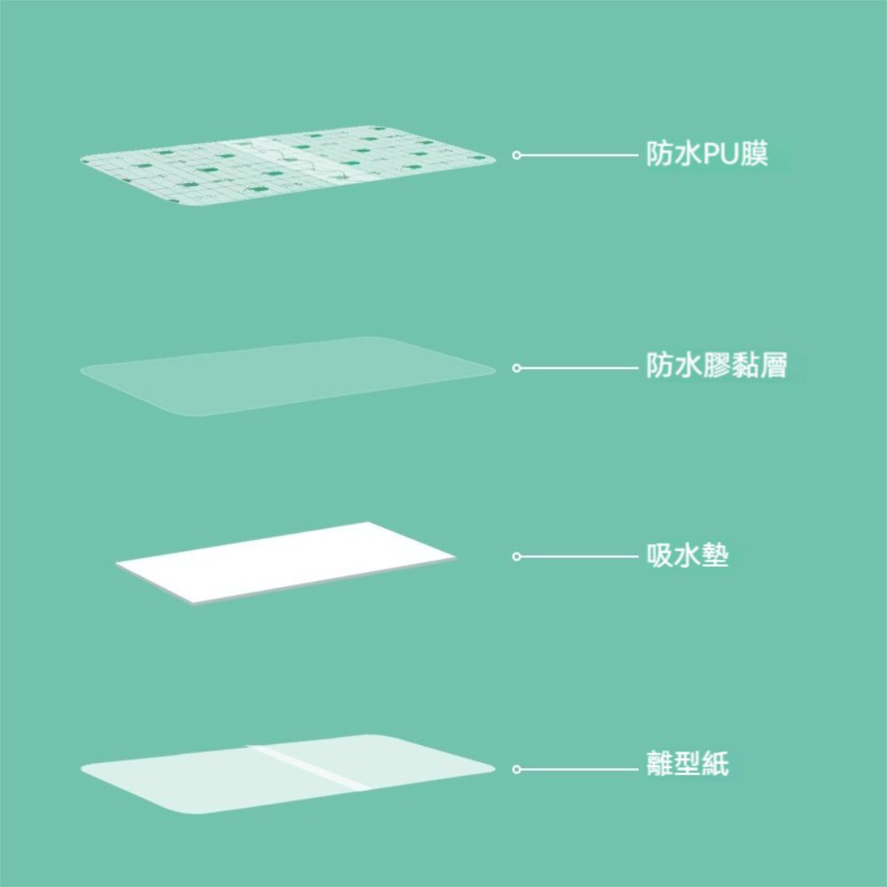 荷生活 隔水防菌私密處透氣貼 泳池海邊防感染免裁剪防水貼-兒童款5片