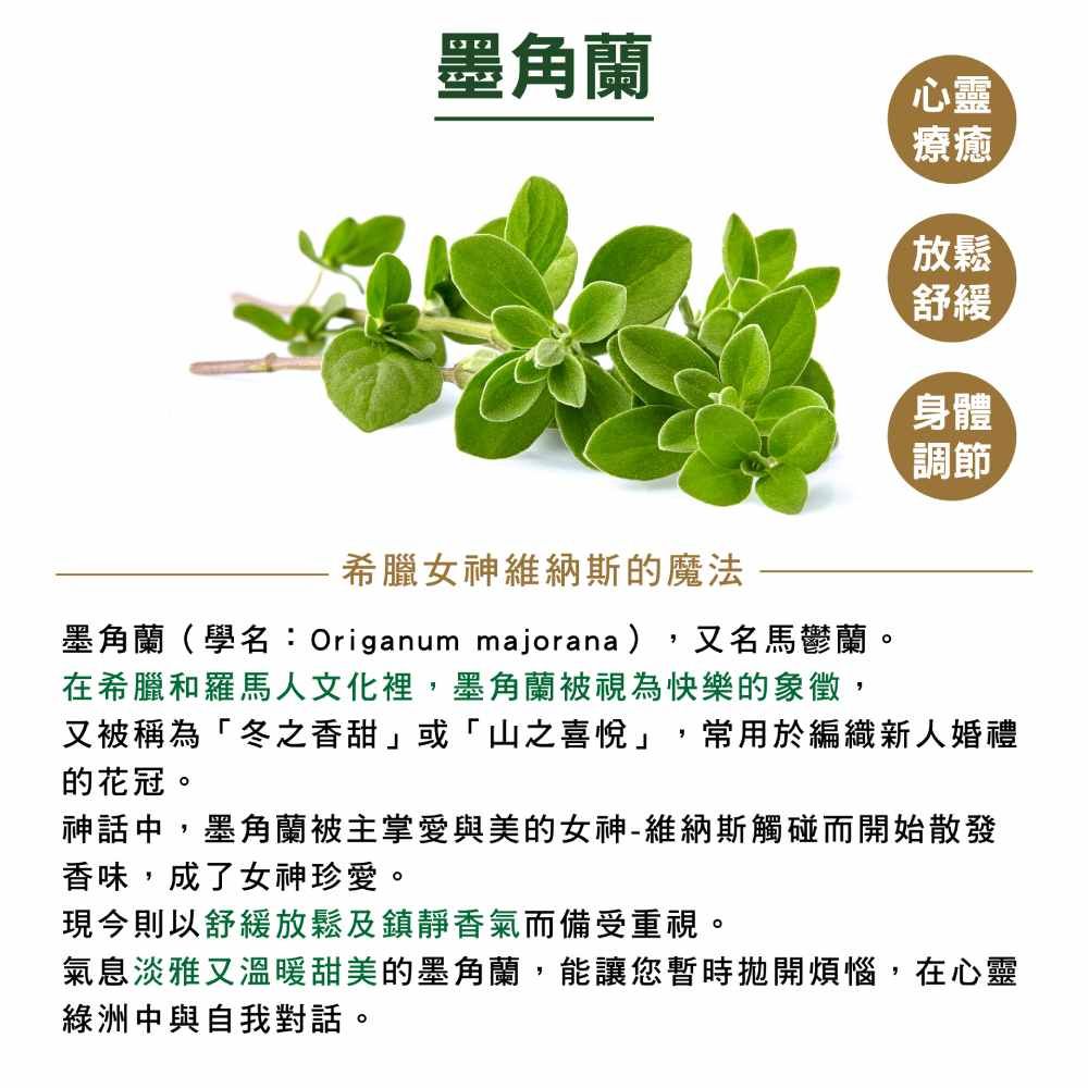 王大夫一條根 一條根滾珠精油露_添加積雪草【墨角蘭】 (10ml) 2入組 送擦倍靈油膏 (5g)