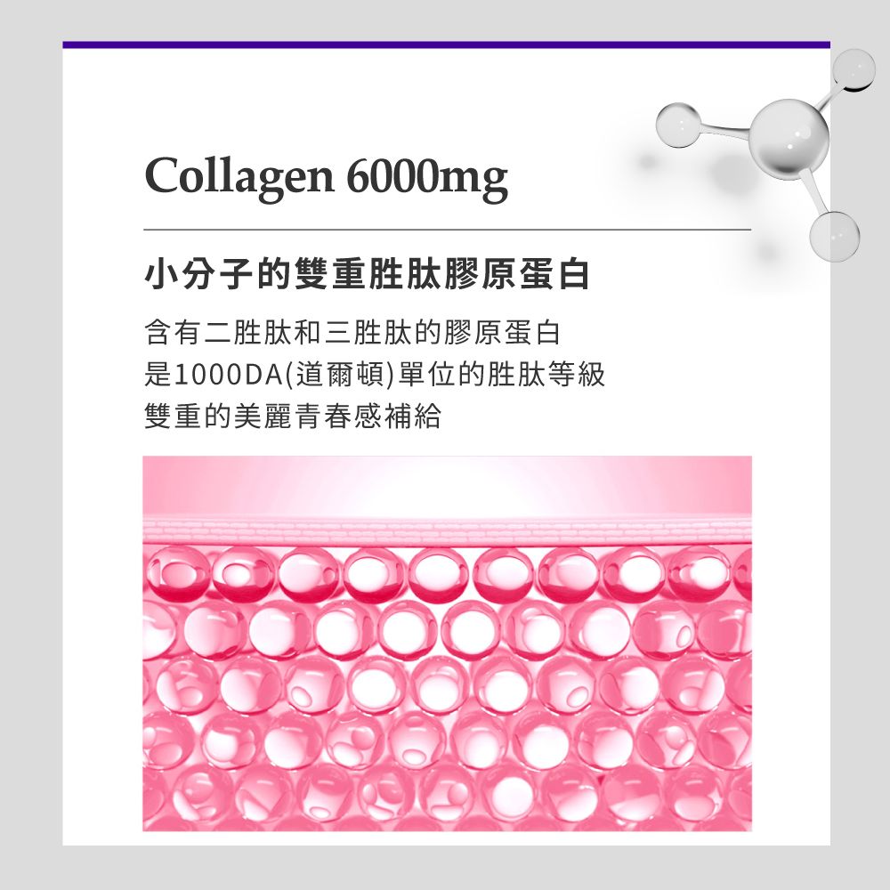 Collagen 6000mg小分子的雙重胜肽膠原蛋白含有二胜肽和三胜肽的膠原蛋白是1000DA(道爾頓)單位的胜肽等級雙重的美麗青春感補給