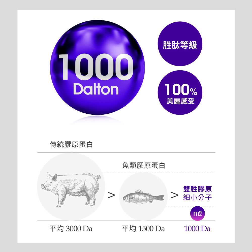 1000Dalton胜肽等級100%美麗感受傳統膠原蛋白魚類膠原蛋白雙胜膠原細小分子平均 3000 Da平均 1500 Da1000 Da