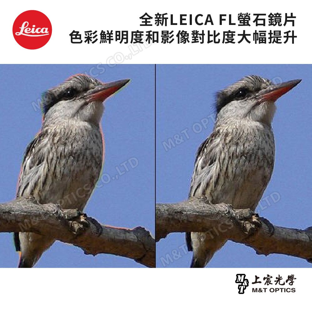 LEICA 徠卡  ULTRAVID HD-PLUS 12x50 頂級螢石雙筒望遠鏡