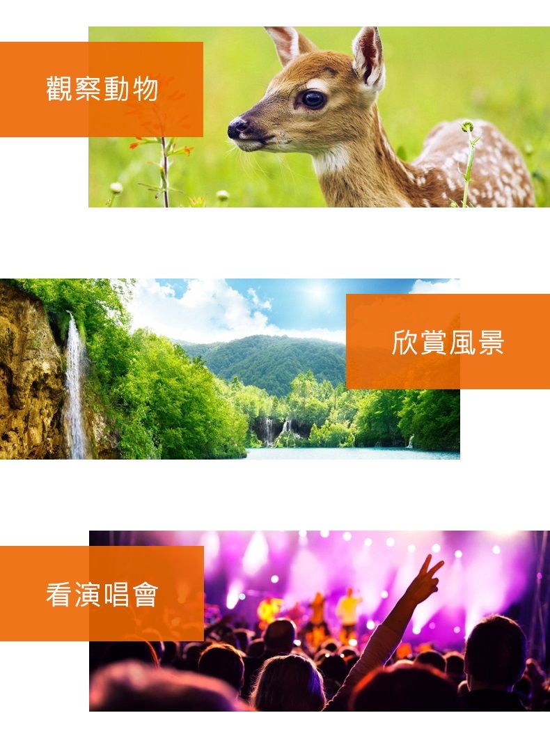 觀察動物看演唱會欣賞風景