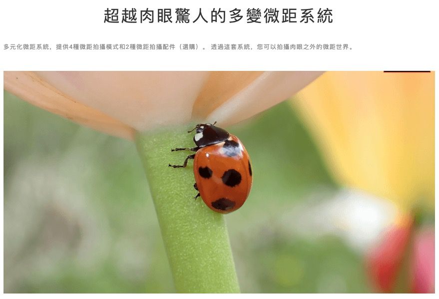 超越肉眼驚人的多變微距系統多元化微距系統,提供4種微距拍攝模式和2種微距拍攝配件(選購)透過這套系統,您可以拍攝肉眼之外的微距世界。