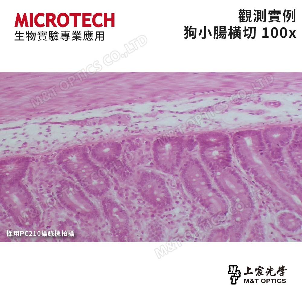 MICROTECH  雙目生物顯微鏡 LX120 - 原廠保固一年