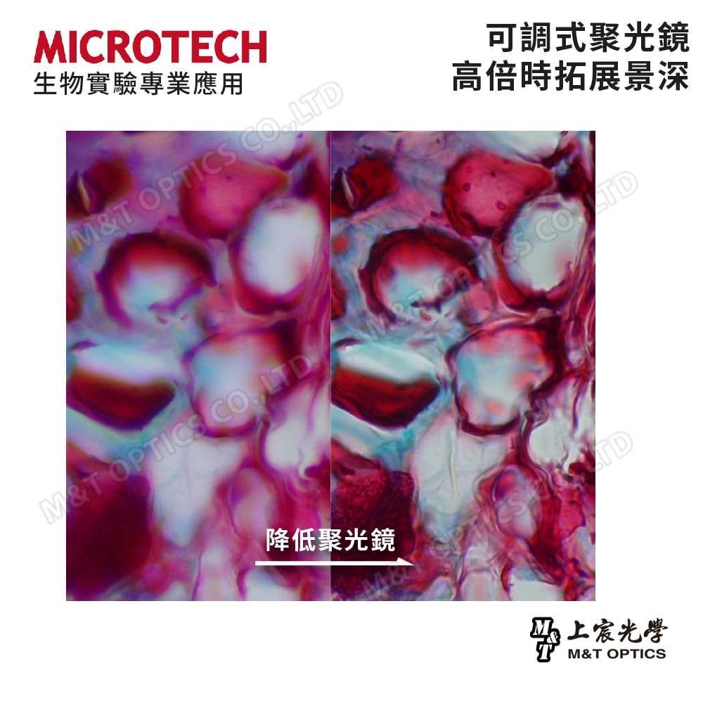 MICROTECH  手機攝影雙目生物顯微鏡 LX120-UPN - 原廠保固一年