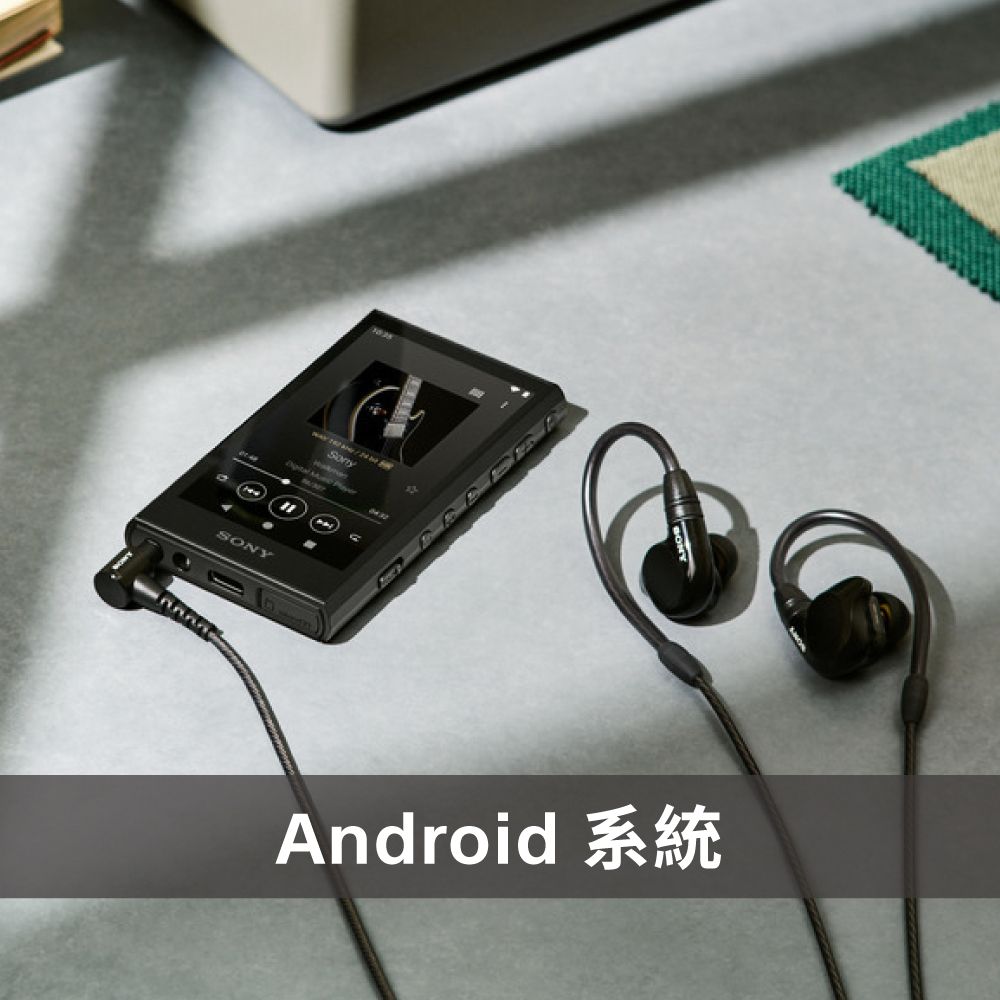 SONY 索尼 [公司貨 保固12+6] NW-A306 Walkman數位音樂播放器