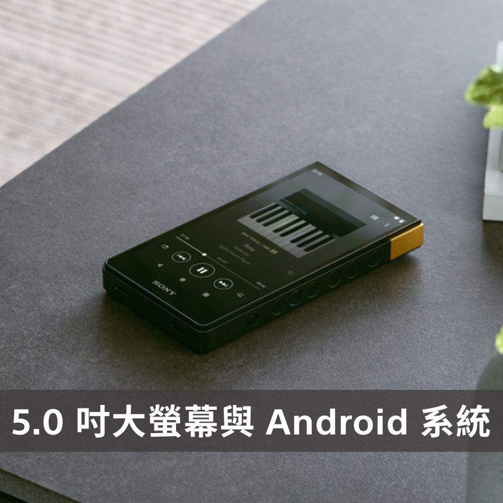 SONY 索尼 [ 公司貨 保固 12+6] NW-ZX707 Walkman 高音質數位音樂播放器