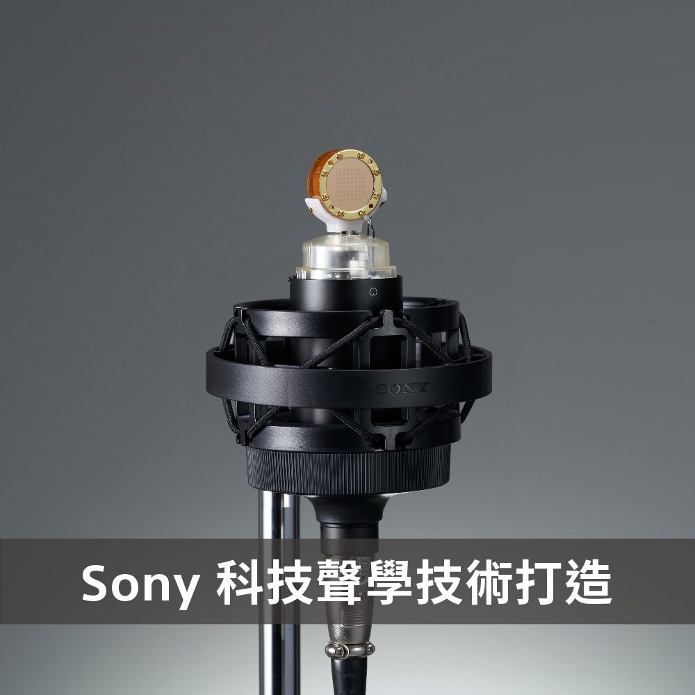 SONY 索尼 [ 公司貨 保固 12+6 個月] C-80 心型指向電容式麥克風