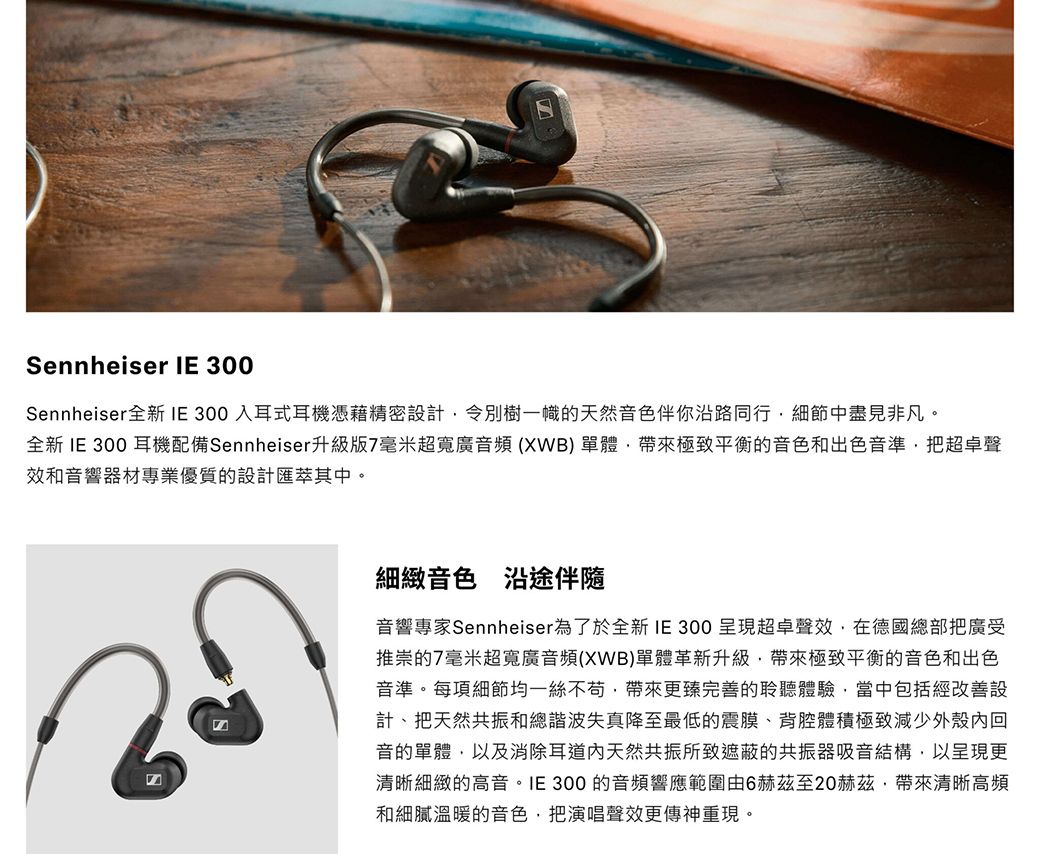 Sennheiser 森海塞爾IE300 高音質入耳式耳機台灣宙宣公司貨- PChome