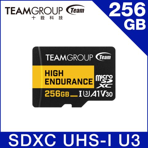 TEAM 十銓 High Endurance 256GB Micro SDXC UHS-I U3 V30 監控專用記憶卡