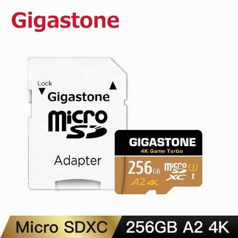 Gigastone Data Recovery 256GB microSDXC UHS-I A2 U3 資料救援記憶卡(A2 Game Turbo高速記憶卡)
