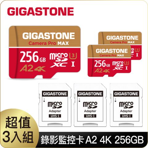 Gigastone 立達 Camera Pro MAX microSDXC UHS-Ⅰ U3 A2 4K 256GB錄影監控記憶卡-3入組(支援GoPro/DJI/行車紀錄器)