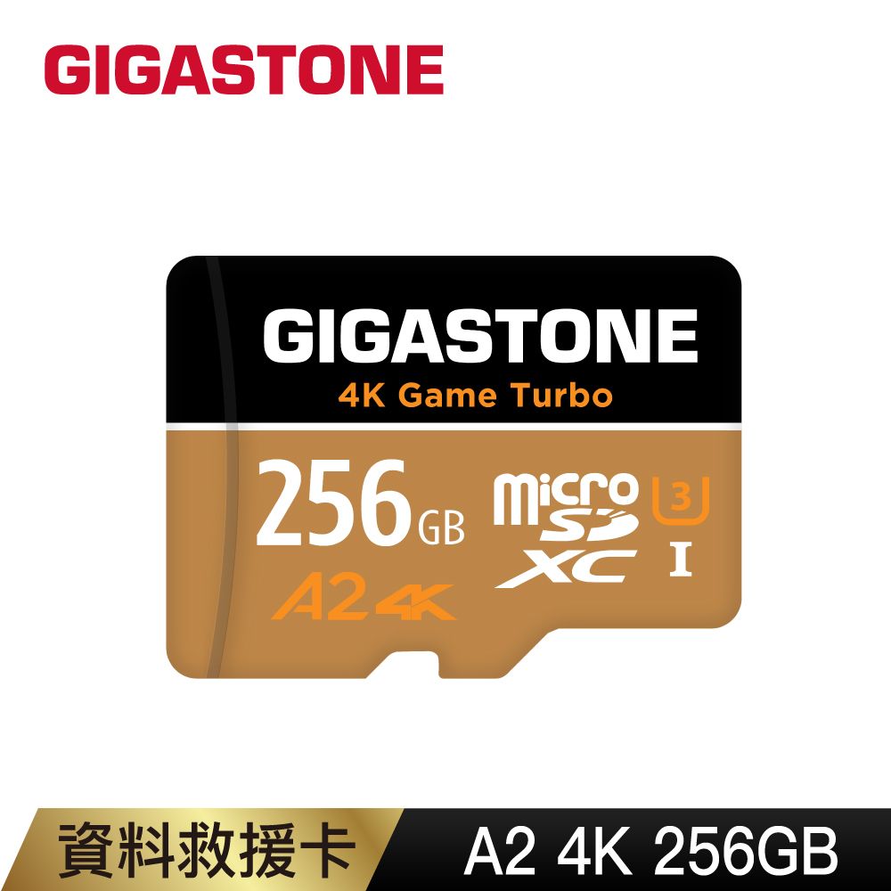 Gigastone 立達   資料救援 256GB microSDXC UHS-I U3 A2 V30 高速記憶卡