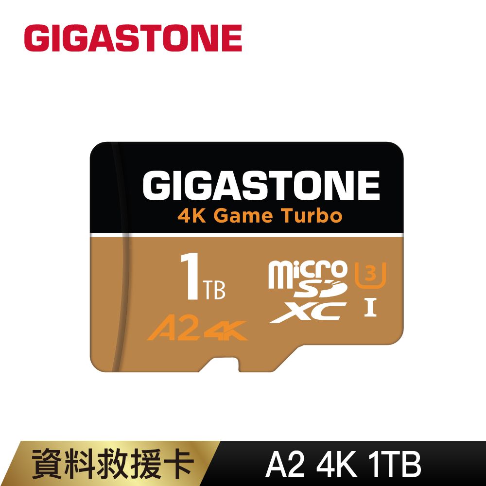 Gigastone 立達   資料救援 1TB microSDXC UHS-I U3 A2 V30 高速記憶卡