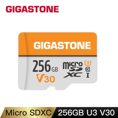 GIGASTONE 立達 microSDXC UHS-Ⅰ U3 V30 256GB記憶卡