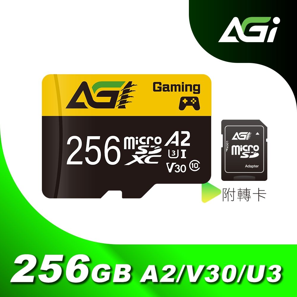 Intel 英特爾 AGI 亞奇雷 microSDXC UHS-I A2 V30 256G 記憶卡 附轉卡(Made in Taiwan)