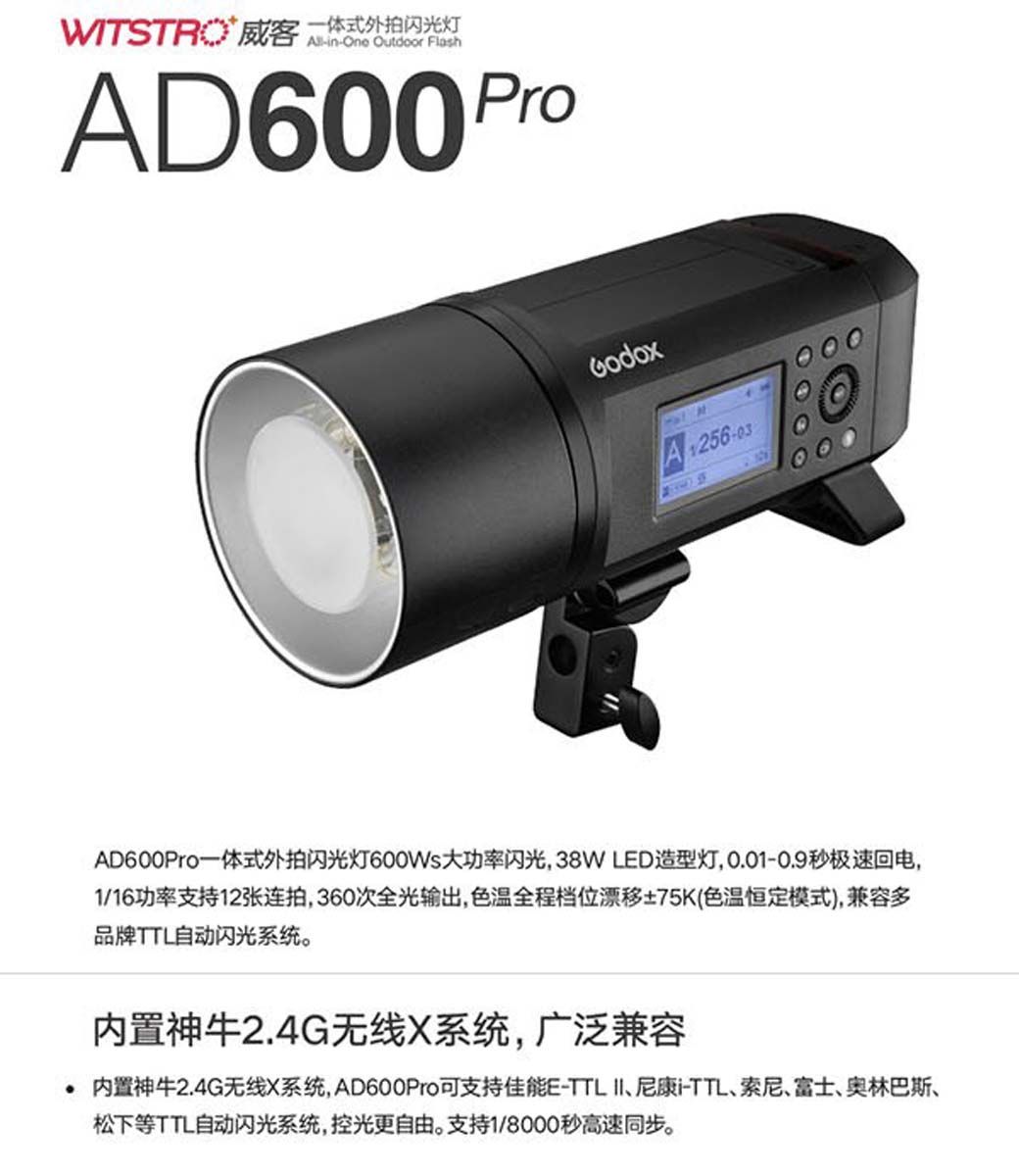 Godox 神牛AD600 PRO TTL 閃光燈外拍燈棚燈(AD600PRO 公司貨) - PChome