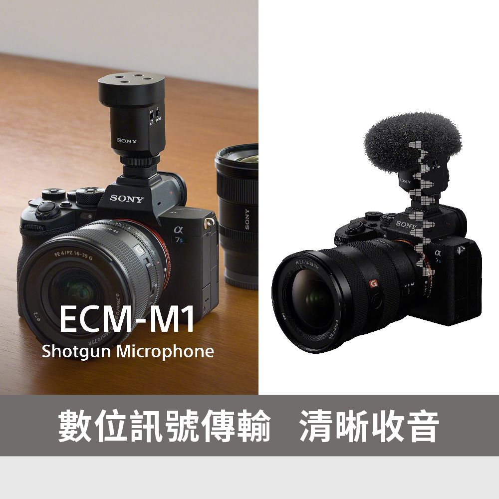 SONY 索尼  ECM-M1 指向型麥克風 (公司貨 保固 12個月)