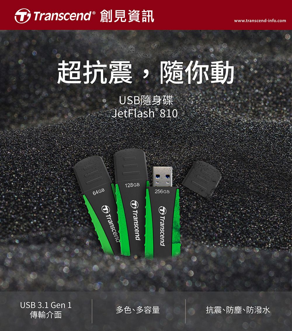 Transcend 創見 256GB JetFlash810 USB3.1軍規抗震隨身碟 (TS256GJF810) - PChome 24h購物