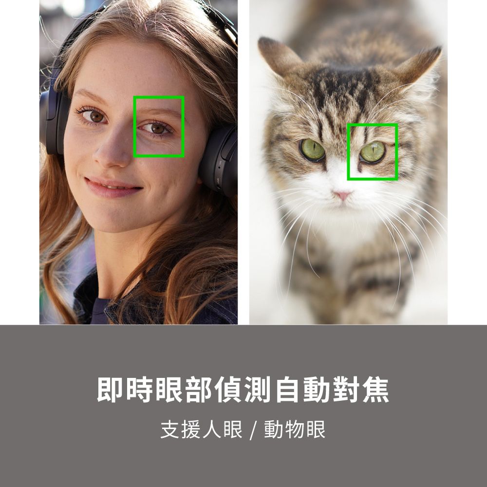 SONY 索尼 數位單眼相機 ILCE-6400M SEL18135 鏡頭組 (公司貨 保固18+6個月)