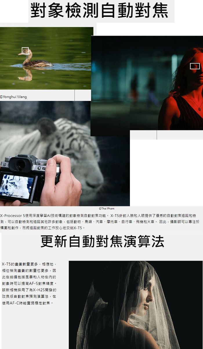 Yonghui Wang對象檢測  PhạmX-Processor 5使用深度學習AI技術構建的對象檢測自動功能。 X-T5人臉和人眼提供了優秀的自動和檢測,可以自動檢測和追蹤其他許多對象,包括動物、鳥類、汽車、摩托車、自行車、飛機和火車。 因此,攝影師可以專注於構圖和創作,而將追蹤對焦的工作放心地交給X-T5。更新自動對焦演算法X-T5的數量更多,相應地,相位檢測的數量也更多,因此在拍攝包括風景和人物在内的對象可以提高AF-S對焦精度。該款相機採用了為X-H2S開發的改良版自動對焦預測演算法,在使用AF-時能穩定對焦。