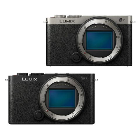 Panasonic 國際牌 LUMIX DC-S9 BODY 單機身 公司貨