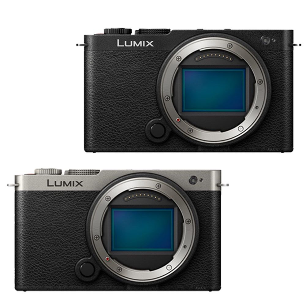 Panasonic 國際牌 LUMIX S9 單機身 公司貨