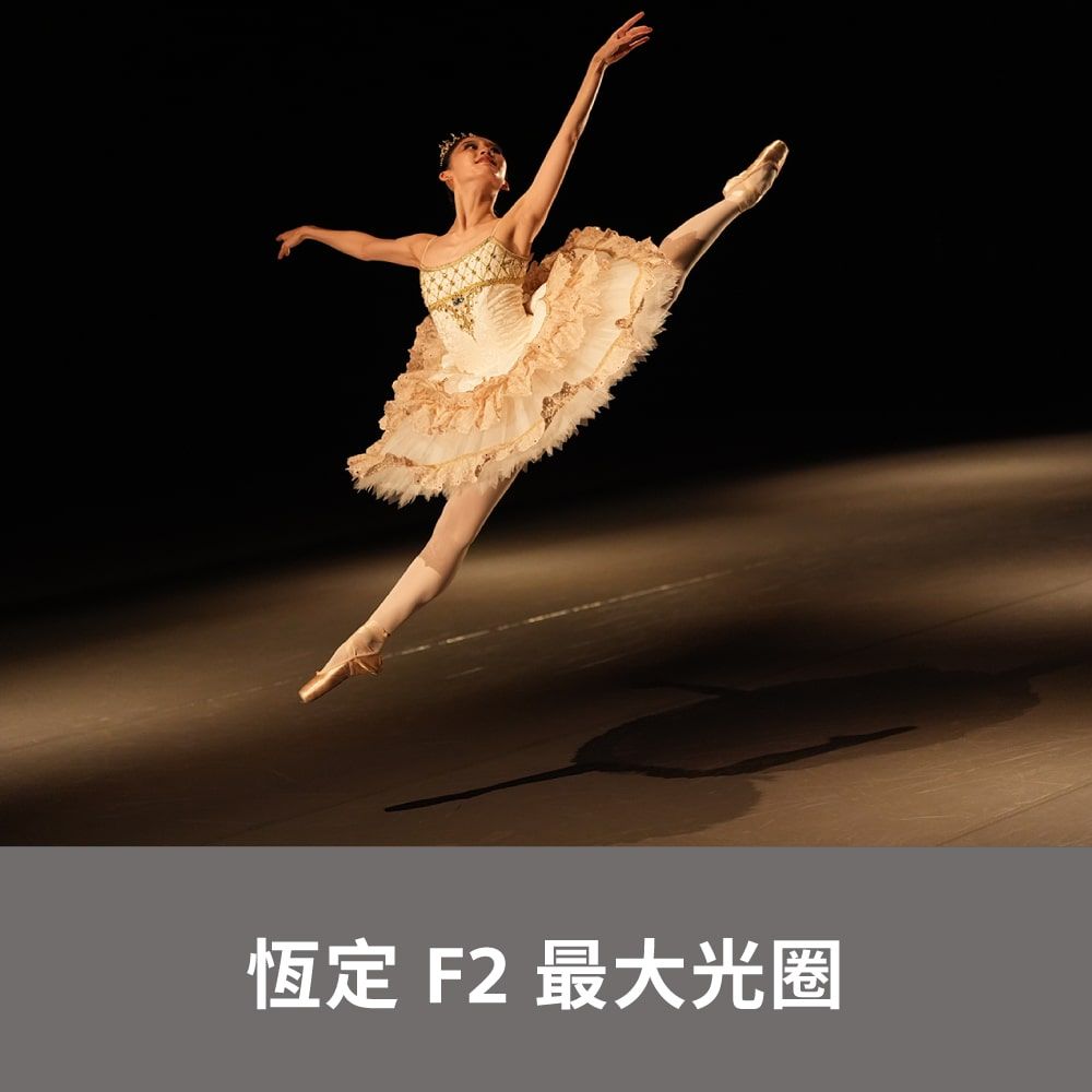 SONY 索尼 SEL2870GM G Master 大光圈標準變焦鏡 (公司貨 保固24個月)