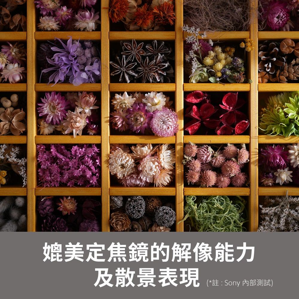 SONY 索尼 SEL2870GM G Master 大光圈標準變焦鏡 (公司貨 保固24個月)