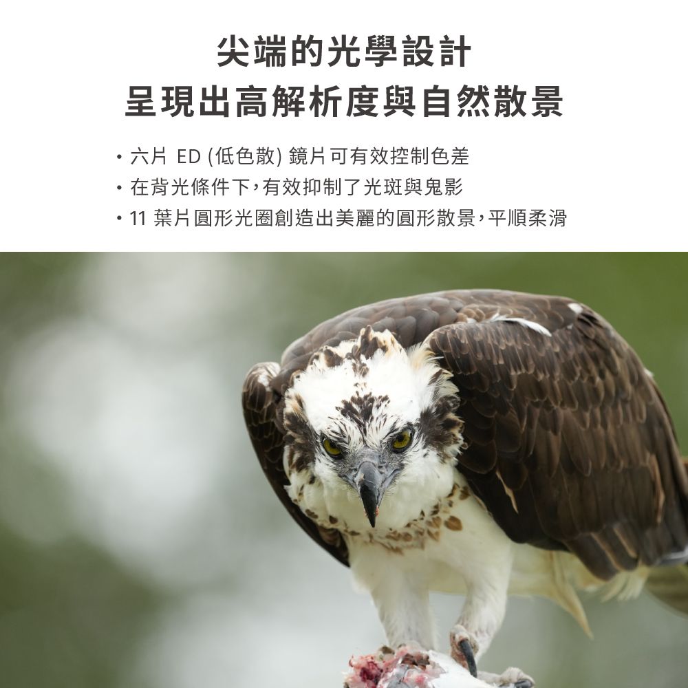 尖端的光學設計呈現出高解析度與自然散景六片 ED (低色散)鏡片可有效控制色差在背光條件下,有效抑制了光斑與鬼影11 葉片圓形光圈創造出美麗的圓形散景,平順柔滑