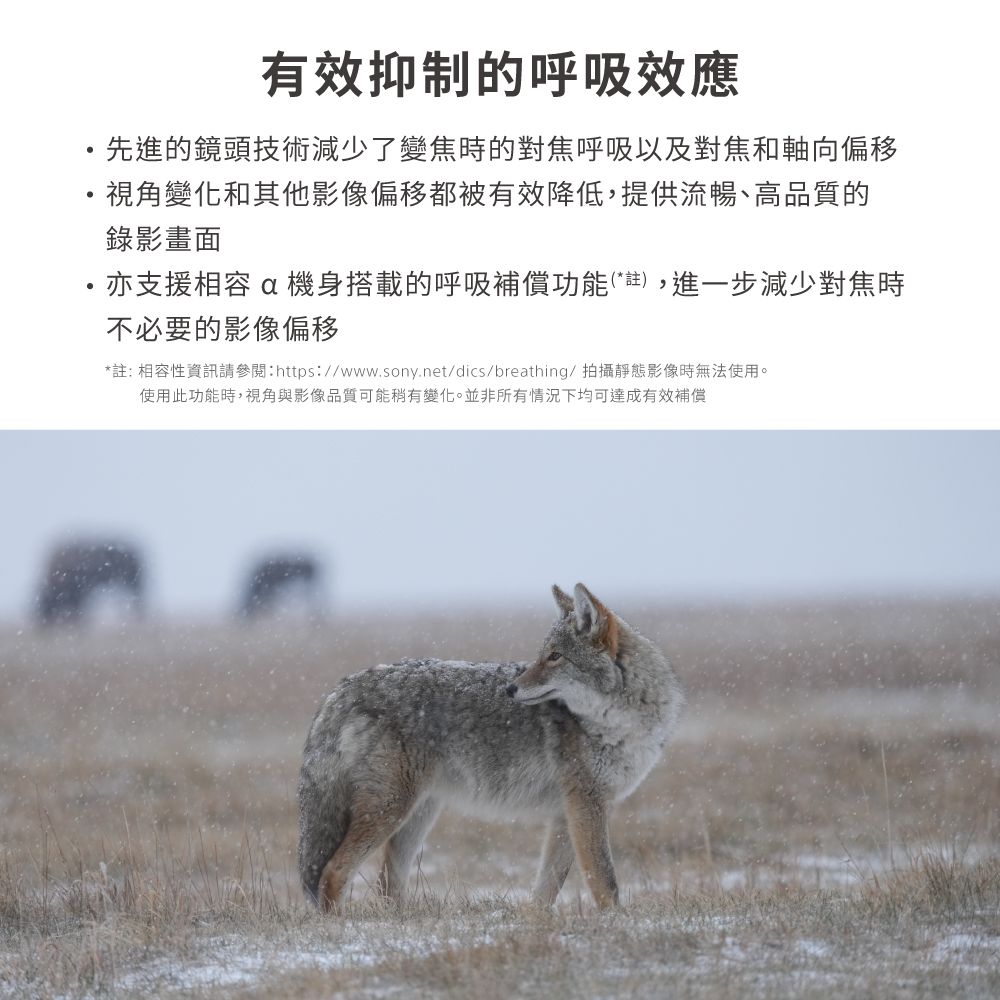 有效抑制的呼吸效應先進的鏡頭技術減少了變焦時的對焦呼吸以及對焦和軸向偏移視角變化和其他影像偏移都被有效降低,提供流暢、高品質的錄影畫面亦支援相容 a機身搭載的呼吸補償功能(*註),進一步減少對焦時不必要的影像偏移*註: 相容性資訊請參閱:https://www.sony.net/dics/breathing/ 拍攝靜態影像時無法使用。使用此功能時,視角與影像品質可能稍有變化。並非所有情況下均可達成有效補償