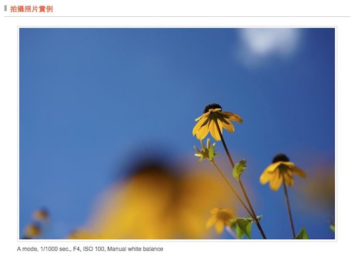 拍攝照片實例A mode, 1/1000 sec., F4, ISO 100, Manual white balance