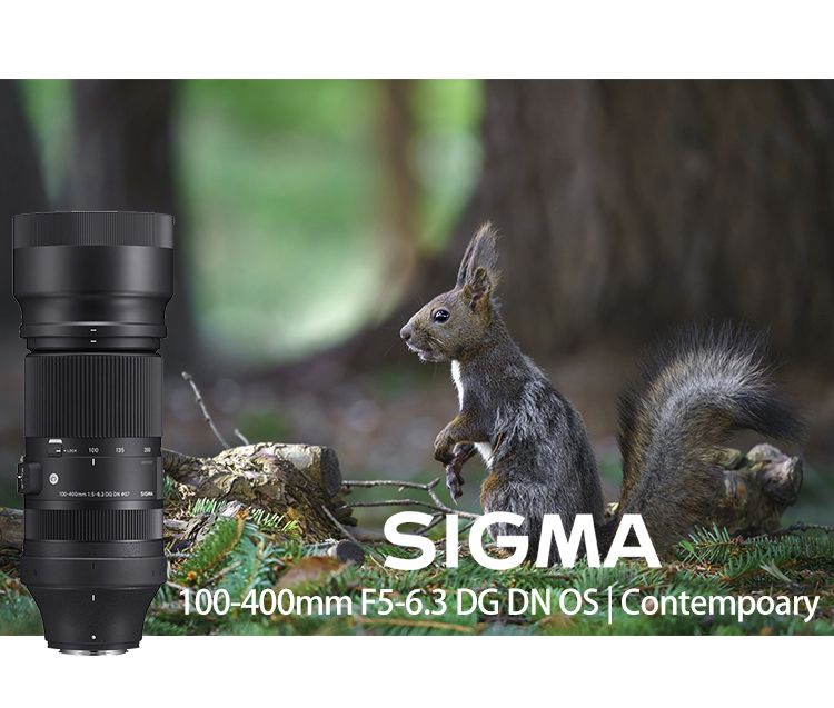 SIGMA 100-400mm F5-6.3 DG DN OS for SONY E-MOUNT 接環(公司貨) 全片