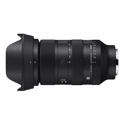 Sigma 28-105mm F2.8 DG DN ART FOR SONY 公司貨