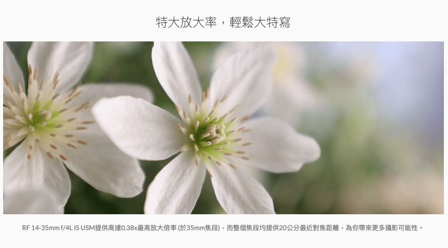 特大放大率,輕鬆大特寫RF 14-35mm f/4L IS USM提供高達0.38x最高放大倍率(於35mm焦段),而整個焦段均提供20公分最近對焦距離,為你帶來更多攝影可能性。