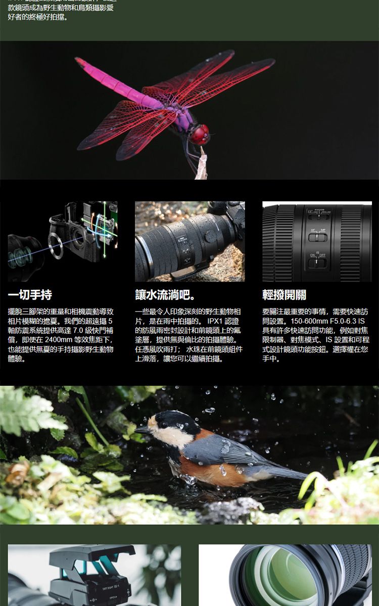 款鏡頭成為野生動物和鳥類攝影愛好者的終極好拍擋一切手持擺脫三腳架的重量和相機震動導致相片模糊的擔憂。我們的超遠攝5軸防震系統提供高達7.0快門補償,即使在2400mm 等效焦距下,也能提供的手持攝影野生動物體驗。讓水流淌吧。一些最令人印象深刻的野生動物相片,是在雨中拍攝的。 IPX1 認證的防風雨密封設計和前鏡頭上的氟塗層,提供無與倫比的拍攝體驗。任憑風吹雨打; 水珠在前鏡頭組件上滑落,讓您可以繼續拍攝。輕撥開關要關注最重要的事情,需要快速訪問設置。150-600mm F5.0-6.3 IS具有許多快速訪問功能,例如對焦限制器、對焦模式、IS設置和可程式設計鏡頭功能按鈕。選擇權在您手中。